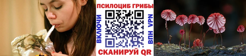 Псилоцибиновые грибы прущие грибы  Купить где  Спасск-Дальний 