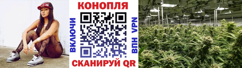 Купить где  Спасск-Дальний  Конопля VHQ 